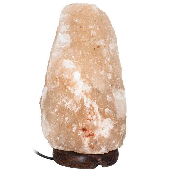Lámpara de sal Himalaya 2-3kg con regulador de intensidad + lamparita